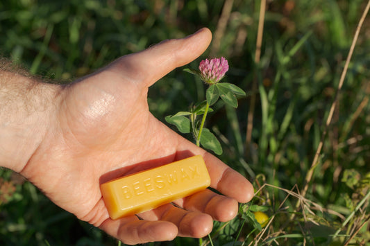 Beeswax, Ancient Humans and Our Challenge