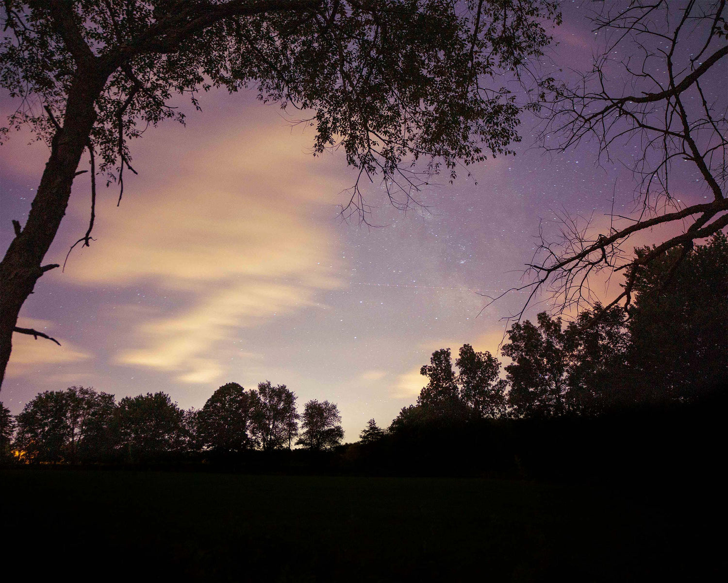 Night sky above a forest