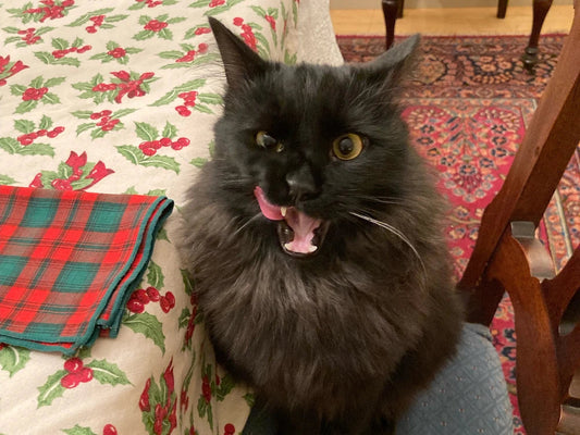 Chocolate: Like Nothing Else