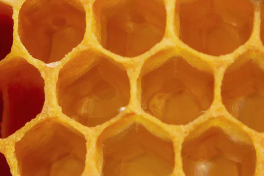 Honey: An Insider’s Guide to the Good Stuff