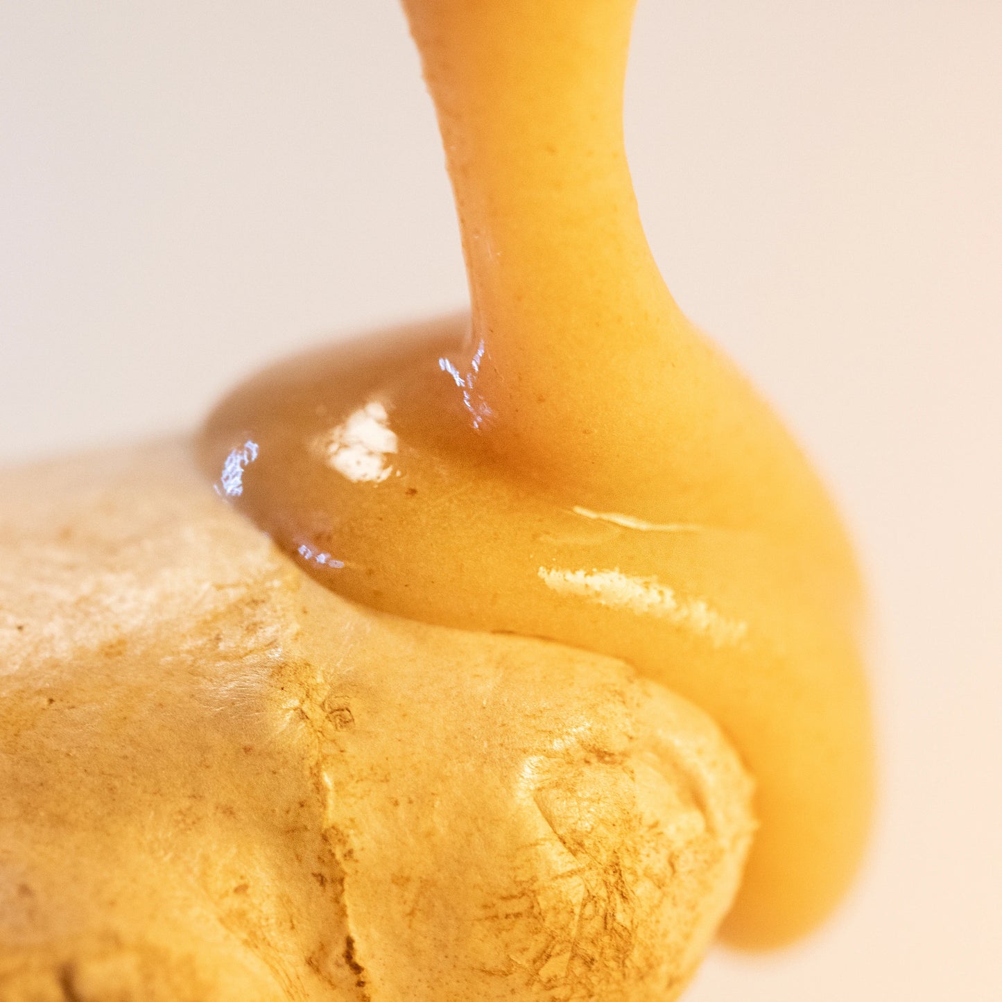 Ginger Yowzers Velvet Honey