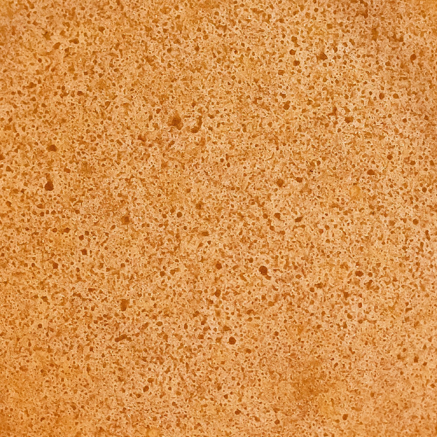 Ginger Yowzers Velvet Honey